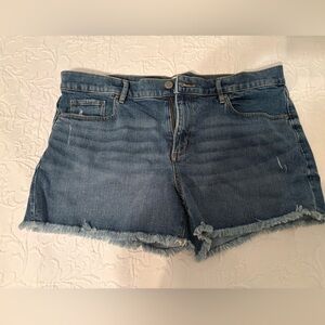 LOFT Classic Cut Off Blue Jean Shorts Size 12/31